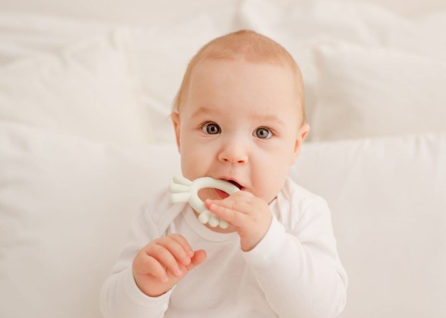 Giligums Gryzak silikonowy kurczak miętowy