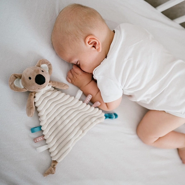 Przytulanka kocyk dla niemowląt Koala Charlie | Babyono 1559