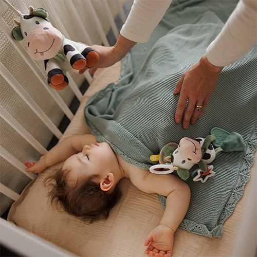 Pozytywka Cow Bingo | Babyono B.O.1692